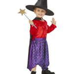 Julia Donaldson Room On The Broom Costume