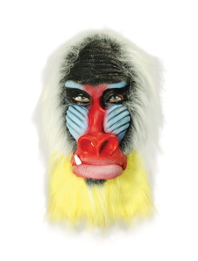 Baboon Mask – Fancy That Fancy Dress