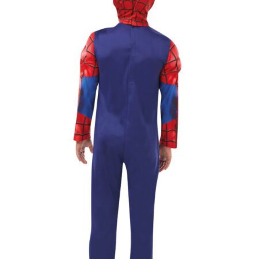 DLX. SPIDER-MAN - Image 2