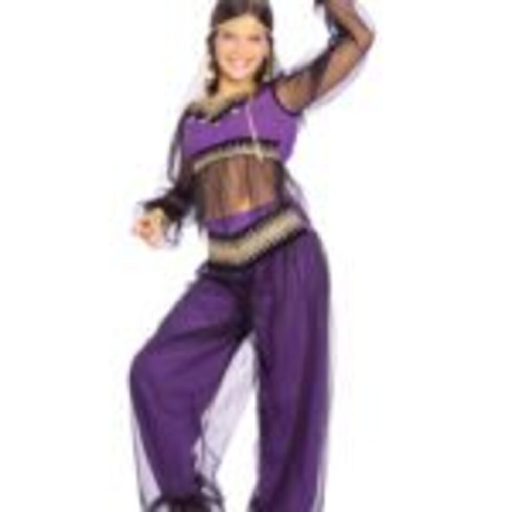 Arabian Princess Costume
