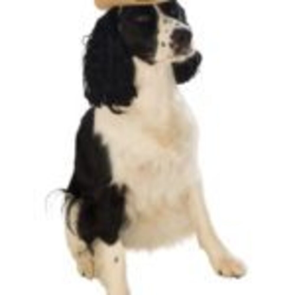 Brown Cowboy Hat Pet Costume