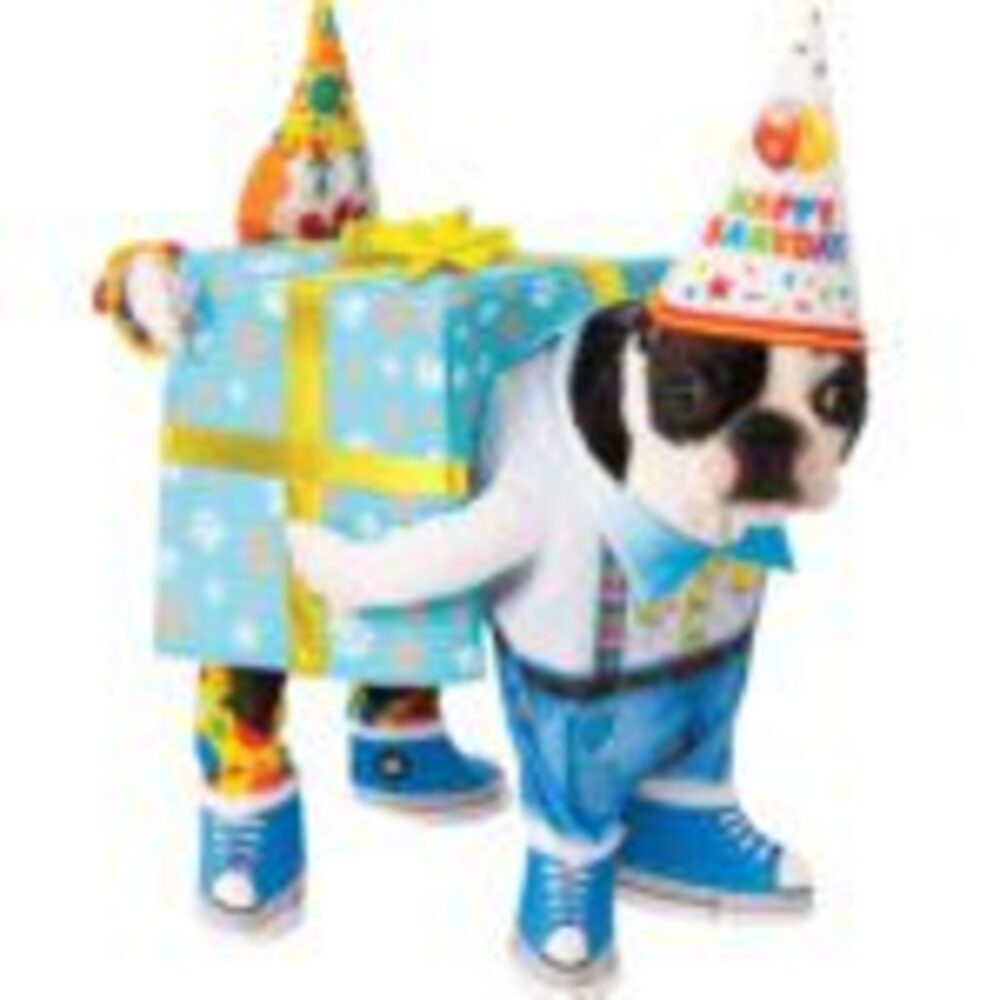 (CL) Birthday Present Carry Pet Costume