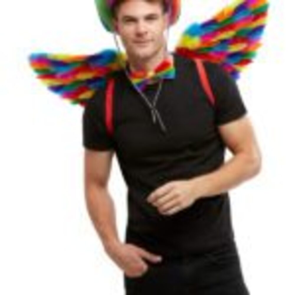 Rainbow Feather Wings, Multi-Coloured