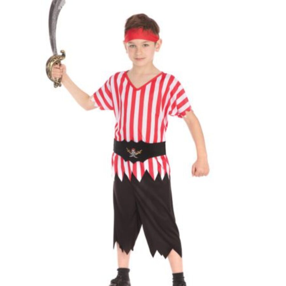 Pirate Boy. Budget. - Image 2