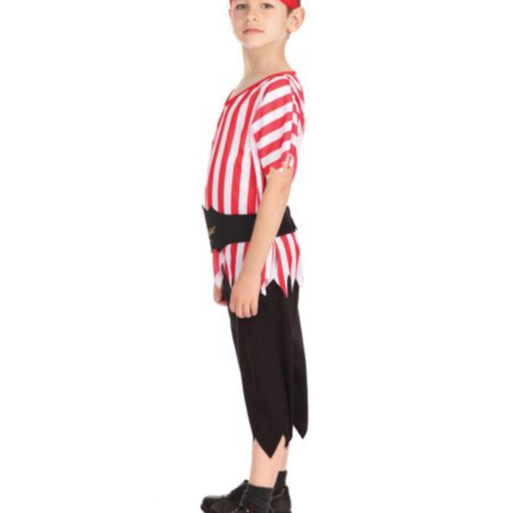 Pirate Boy. Budget. - Image 3