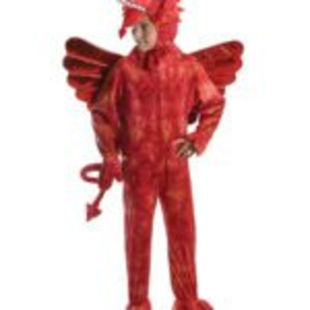Red Dragon Costume 128cm