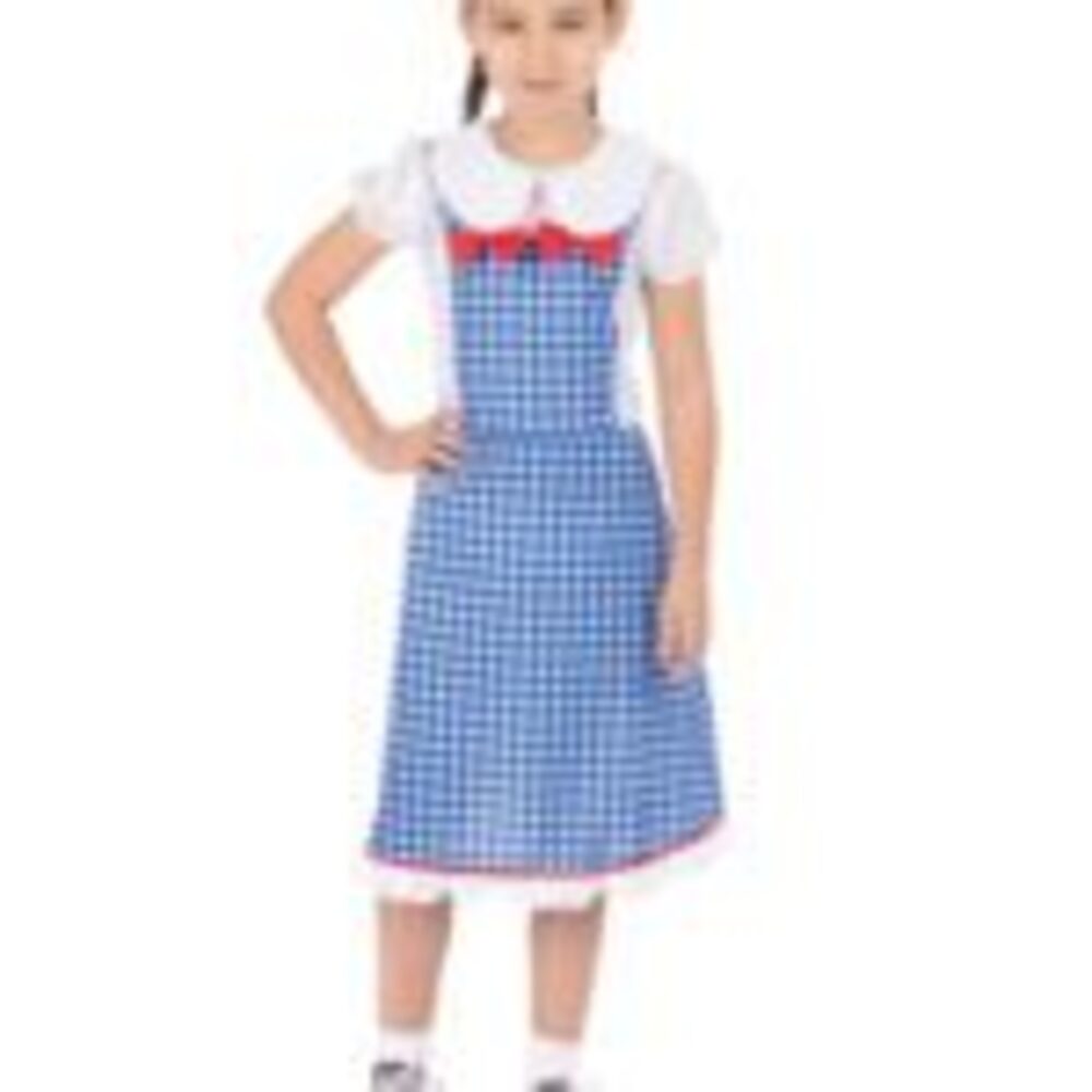 (CL) Kansas Girl Costume (Large)