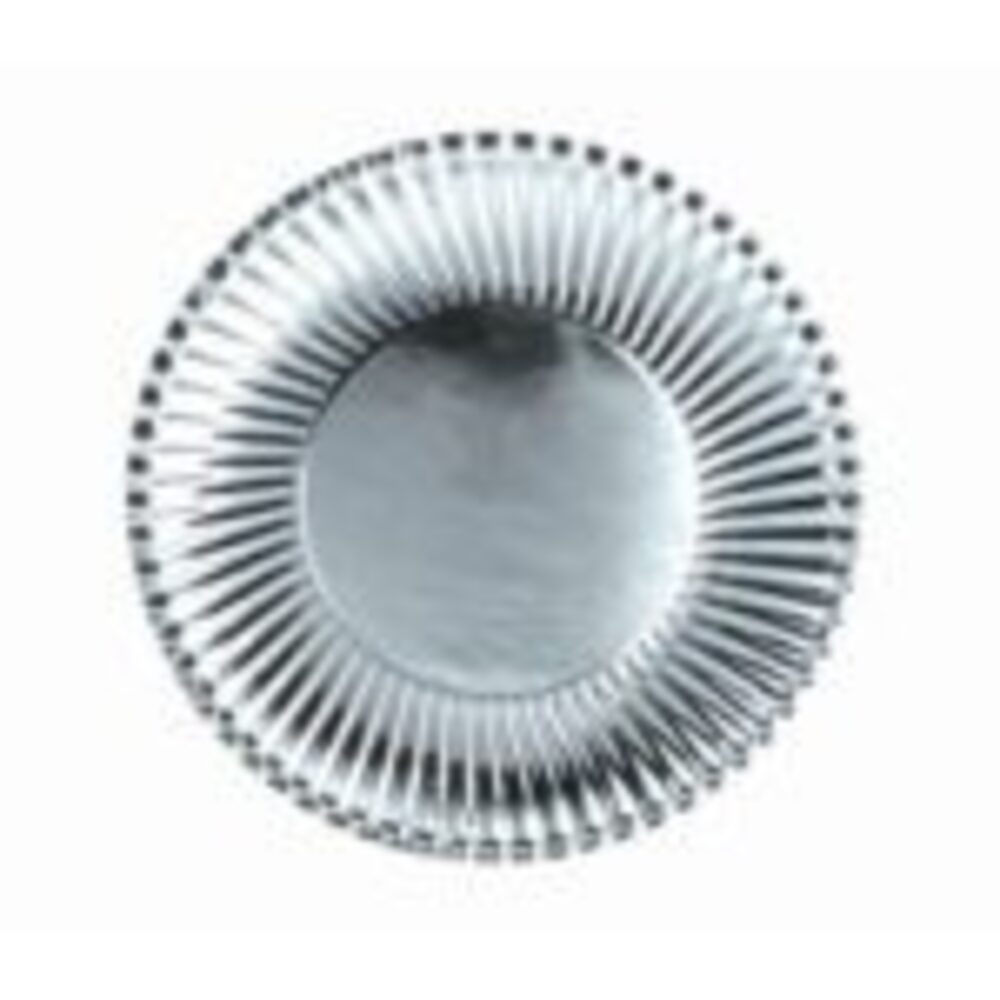 (CL) Silver Paper Plates Sml. ( 10 pack) 18cm